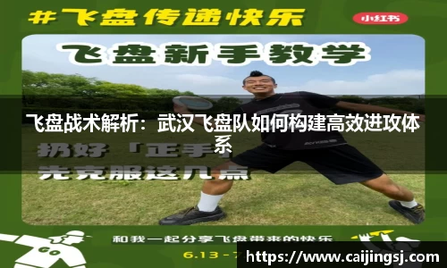 飞盘战术解析：武汉飞盘队如何构建高效进攻体系