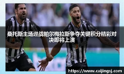 桑托斯主场迎战帕尔梅拉斯争夺关键积分精彩对决即将上演